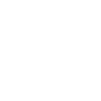 Daaxit white Logo
